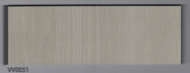 VV0051
