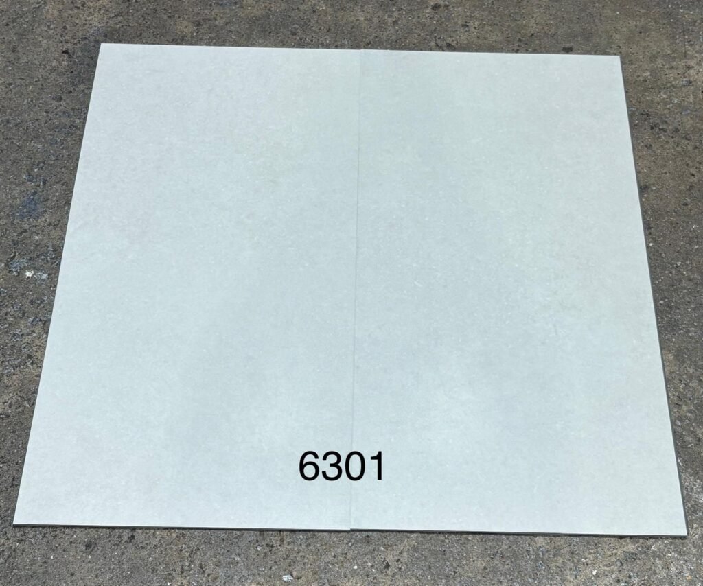 6301